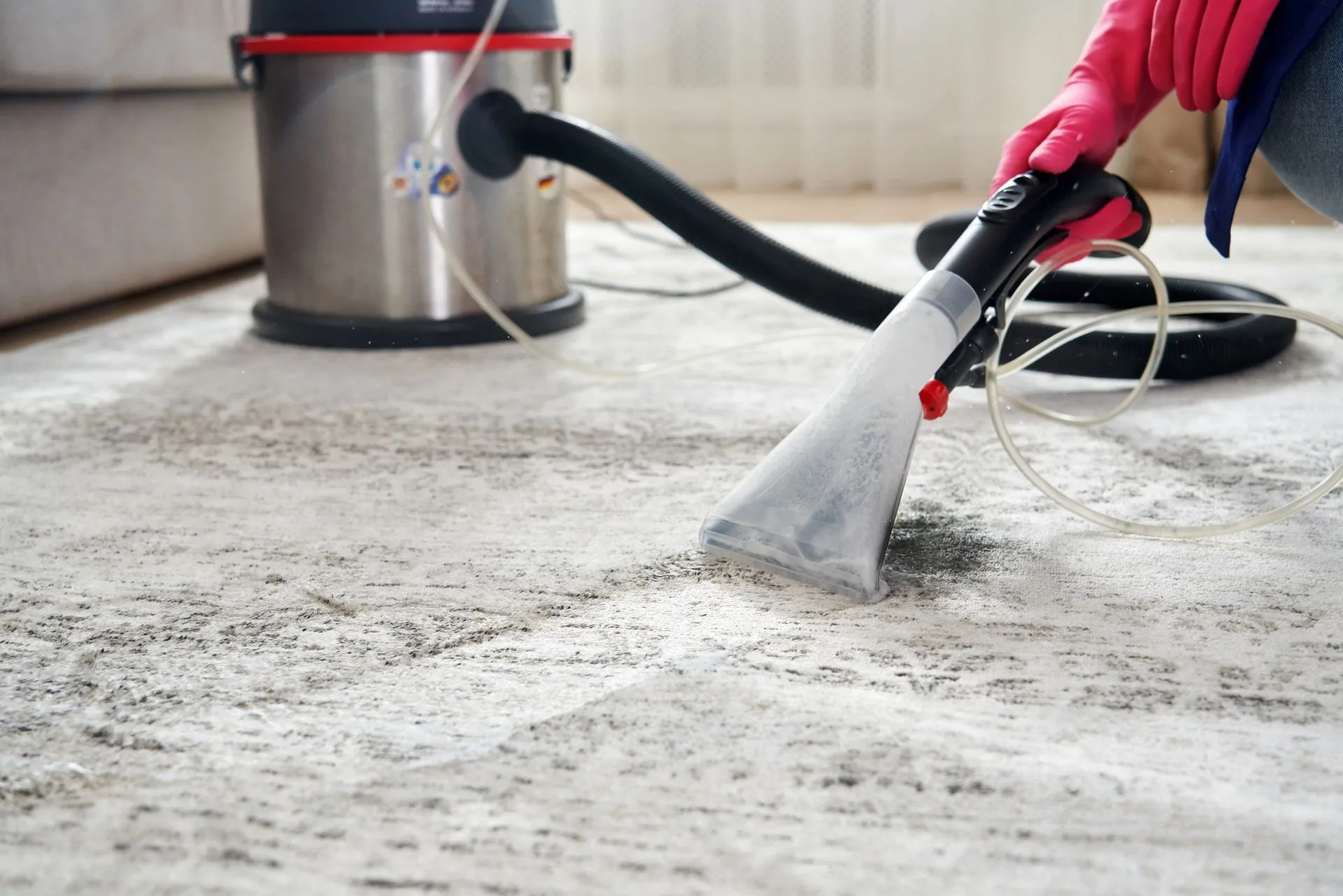 A person is cleaning a carpet with a vacuum cleaner.