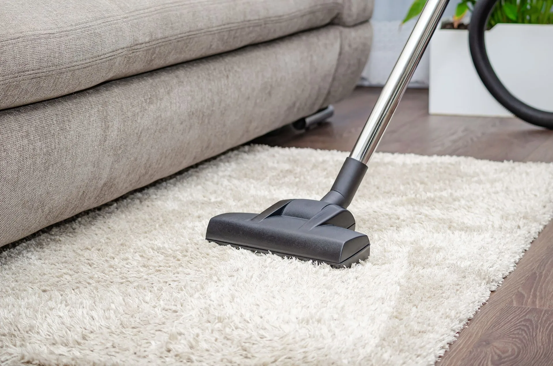 A vacuum cleaner is cleaning a rug in a living room.