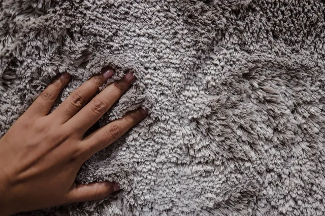 professional deep carpet cleaning company Castle Rock, WA