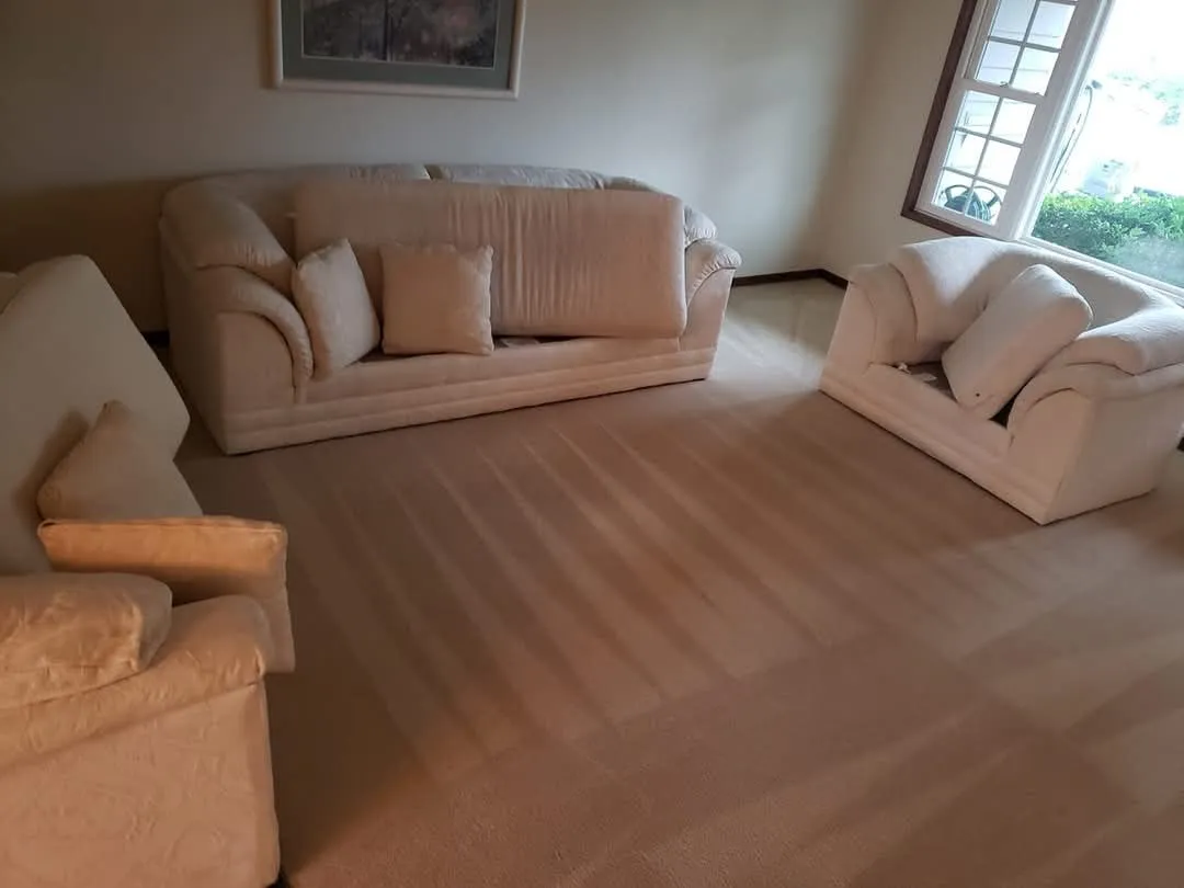 Carpet Cleaning and Repair in Vancouver by Checkmate Carpet Cleaning.