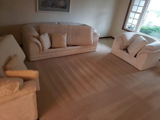 Carpet Cleaning and Repair in Vancouver by Checkmate Carpet Cleaning.