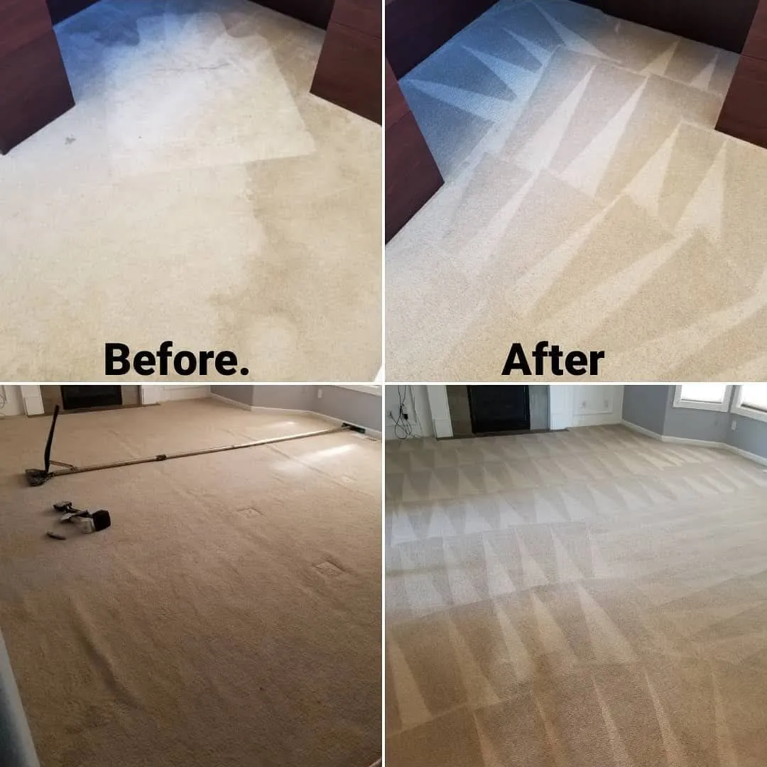 A man is cleaning a carpet deeply with a steam cleaner in Vancouver.