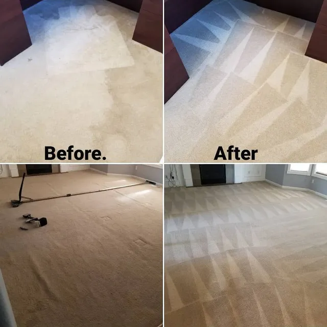 A man is cleaning a carpet deeply with a steam cleaner in Vancouver.
