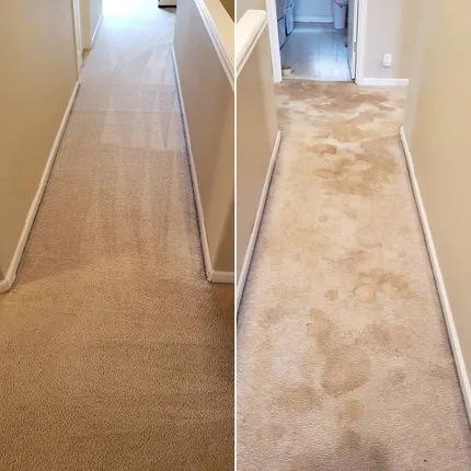 A vacuum cleaner is cleaning a carpet in a living room.